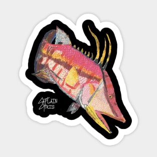 Hogfish (for dark colored shirts) Sticker